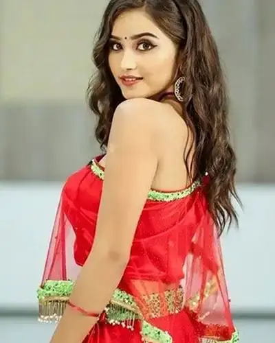 Call Girls Service Andrott